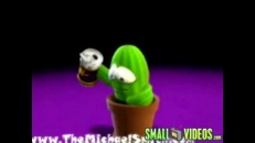 Un cactus qui digère