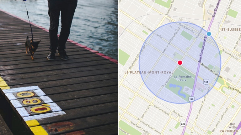 Covid-19: Comment calculer le rayon de 1 km permis pour promener son chien