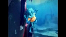 Crazy Frog: U Can’t Touch This