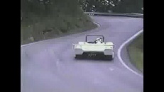 Formule 1 qui frappe un chevreuil