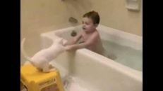 Un bébé, un chat... et un bain ! 