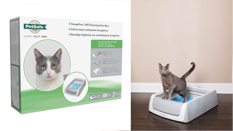Une litière autonettoyante pour faciliter la vie des propriétaires de chats!
