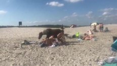 La plage est pour tout le monde!
