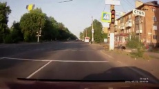 Un chien traverse la rue en toute sécurité
