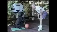 Chien qui drible avec un ballon