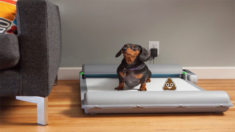 Dites adieu aux mauvaises odeurs des besoins de votre chien!