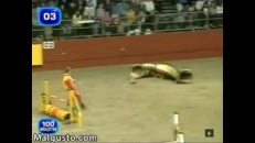 Un chien qui court plus vite que son ombre