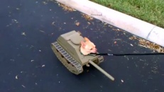 Camouflage d'armée!