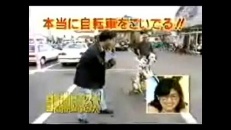 Chien fait du vélo