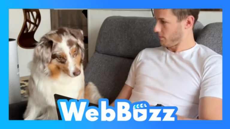 Avez-vous un chien intelligent?