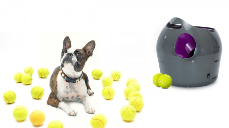 Ce lanceur de balle automatique saura occuper notre chien pendant des heures!