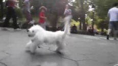 Amuser les enfants avec un pantin en forme de chient