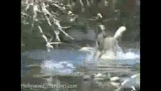 Un chien pêcheur