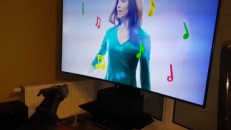 Ce chien se fait vraiment avoir par cette publicité! 