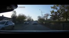 Un chien qui suit le code de la sécurité routière