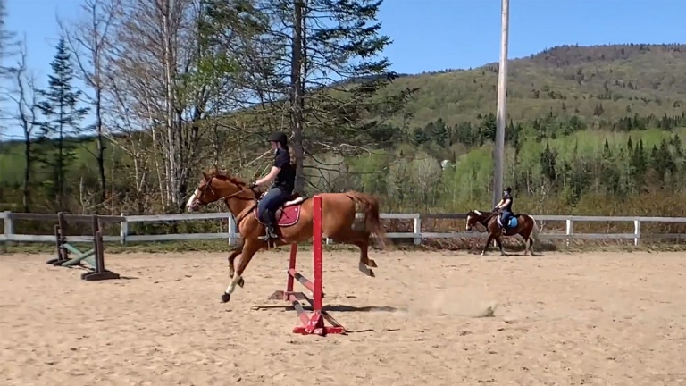 Amoureux d’équitation, découvrez le Club Équestre de Québec