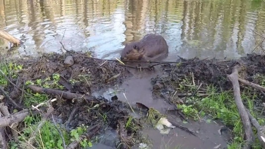 Le colmateur le plus efficace de tous!
