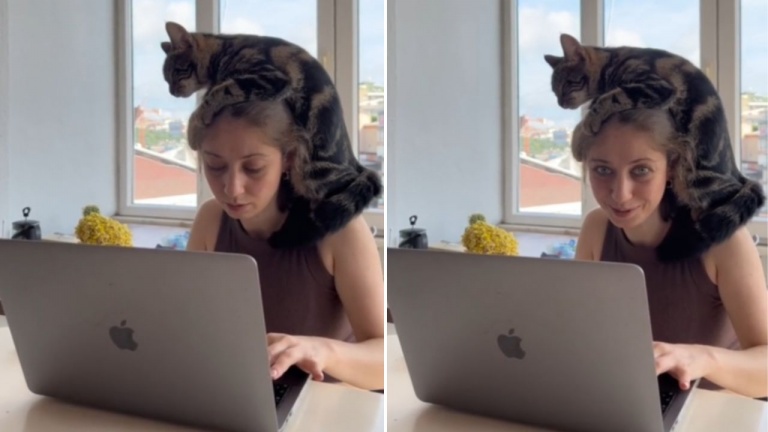 Les difficultés du télétravail en colocation