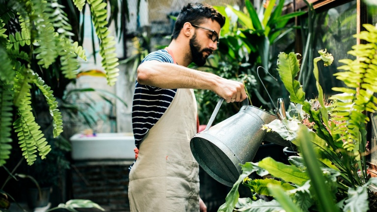 Comment avoir un système d’arrosage intelligent pour arroser nos plantes et nos fleurs quand on est absent