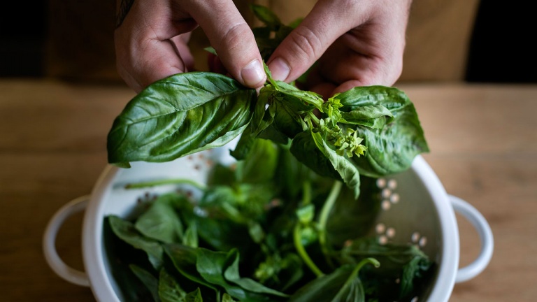 Les meilleurs trucs pour conserver la fraîcheur et la saveur de ses fines herbes
