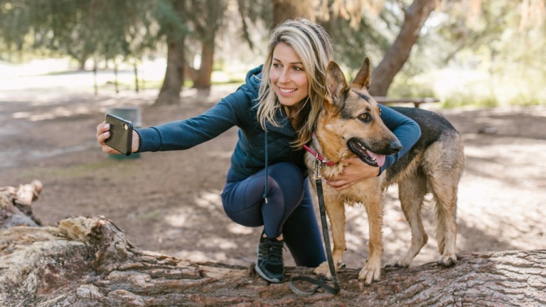 iOS 17 reconnaît maintenant vos animaux, voici comment les identifier