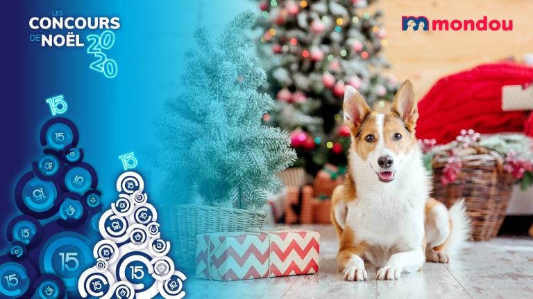 Gagnez un paquet-cadeau personnalisé de chez Mondou pour votre animal de compagnie!