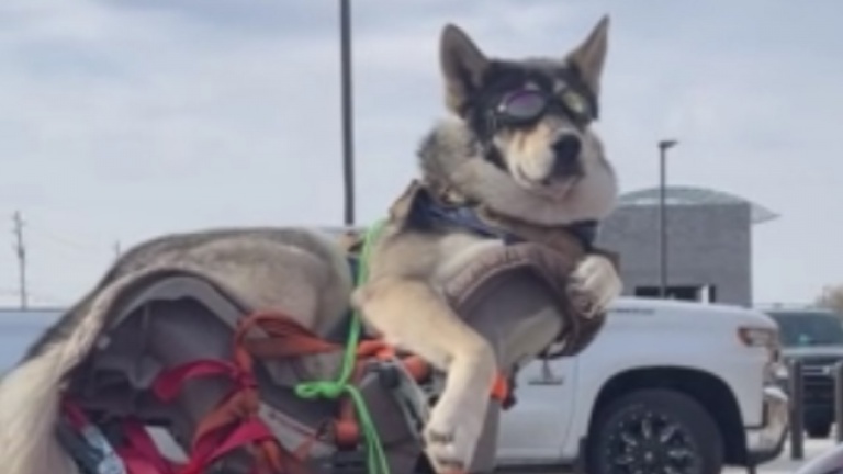 Une ride très confortable