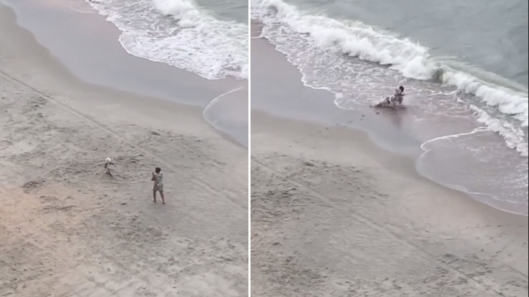 Tu cours trop vite pour grand-maman!