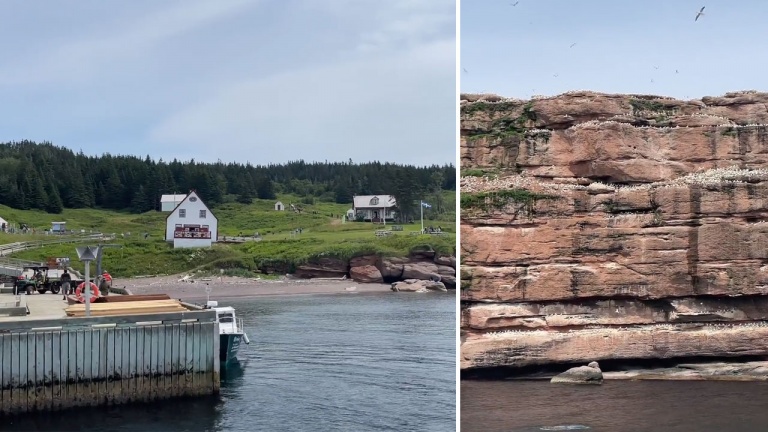 La croisière Rocher Percé et île Bonaventure: attrape touriste ou incontournable? La croisière Rocher Percé et île Bonaventure: attrape touriste ou incontournable?