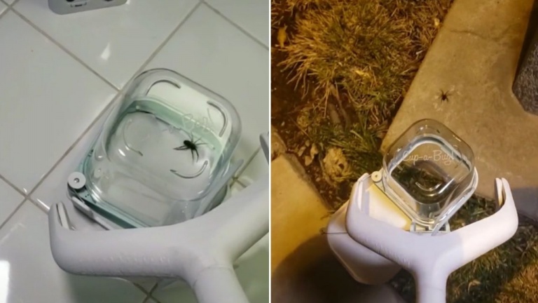Peur des araignées et autres insectes? Découvrez ce gadget infaillible sans cruauté! 
