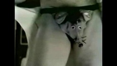 Le gars qui danse et le chat