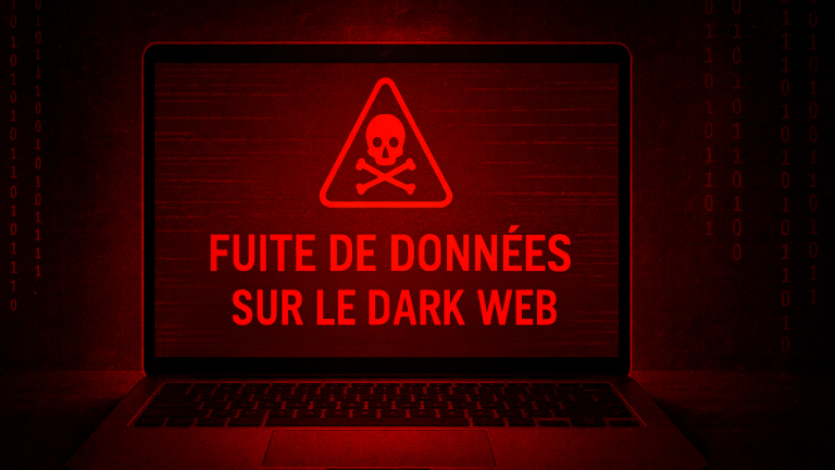 Comment savoir si vos données personnelles ont fuité sur le DarkWeb et éviter une fraude