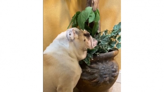 Le changement d’heure est difficile pour plein de monde