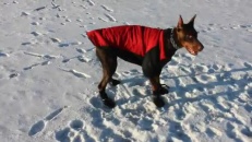 Enlevez vite ce manteau d'hiver!