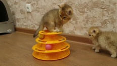 Je peux y arriver!