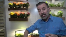 Des fines herbes à l'année avec ce bac intelligent Des fines herbes à l'année avec ce bac intelligent