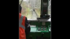 Elles ne marcheront plus jamais sur un chemin de fer!