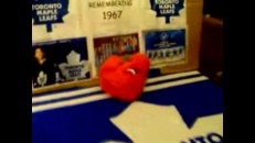 Toronto éliminé... Elmo est heureux