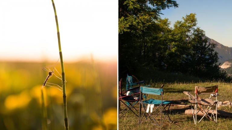 Produits anti-moustiques: qu’est-ce qui fonctionne, et quoi éviter?