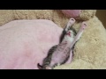 C'est dur de se lever le lundi matin!