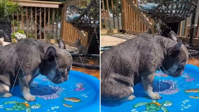 Pas trop reposant, les vacances!