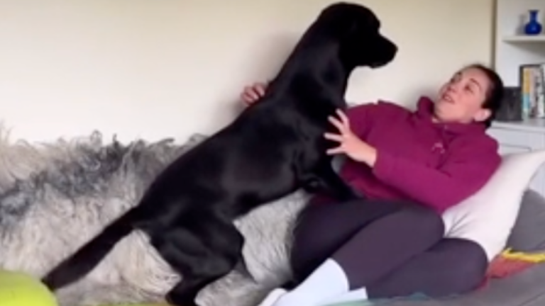 Quand tu t'en vas te baigner