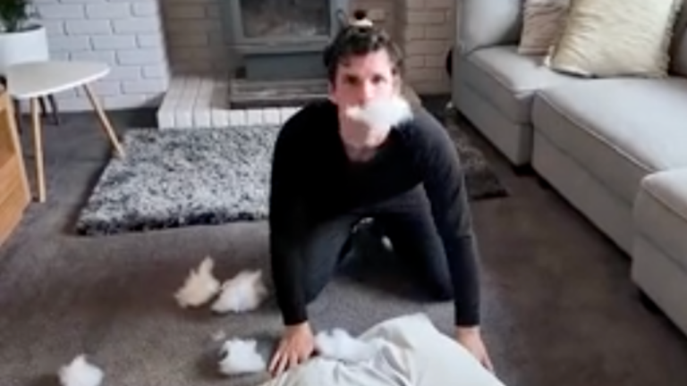 Si on faisait comme les animaux