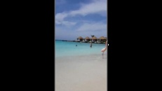 Une plage toute rose