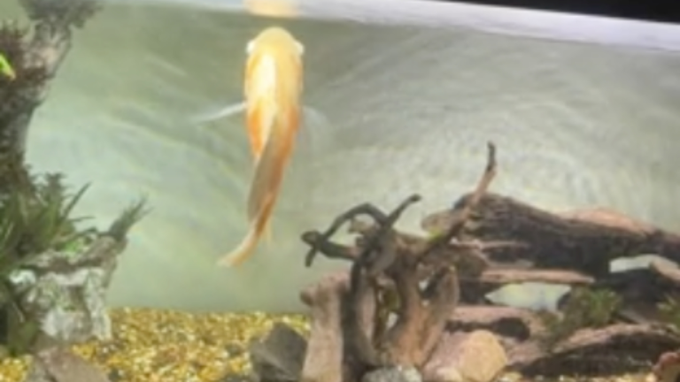 Touche pas à mon eau!