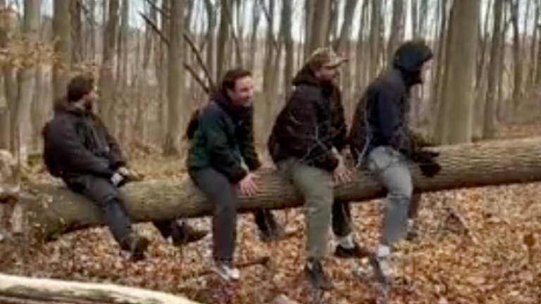 La bascule dans le bois