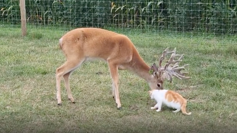 C'est l'heure du bain!