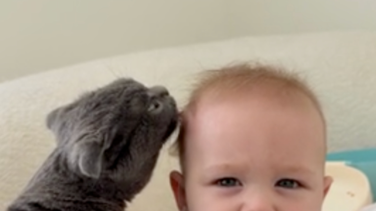 C'est l'heure du bain!