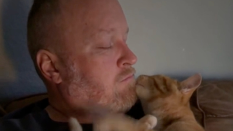 Plus besoin de se faire la barbe