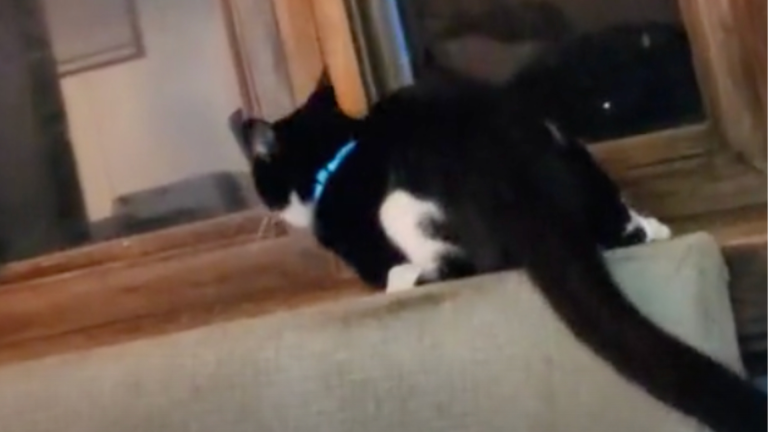 Il emporte la fenêtre avec lui